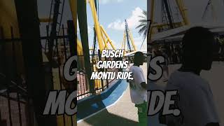 Busch gardensmontu ride [upl. by Euqinahc]