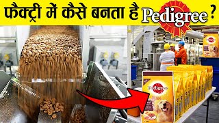 फैक्ट्री में कैसे बनता है PEDIGREE डॉग फ़ूड How is PEDIGREE dog food made in factory [upl. by Neehs975]