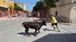 Bull Festivals Stampede in Spain [upl. by Yrollam]