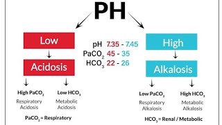 Acidocis and AlkalosisRespiratory vs Metabolic [upl. by Len]