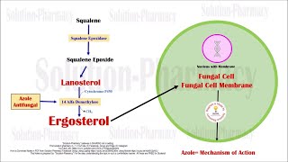 Topic 62 Antifungal Drugs  Azole Mechanism of Action  Azole Antifungal Drugs  Antifungal [upl. by Assirec970]