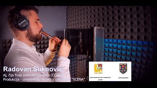 Radovan Suknović  Aj čija frula ovim šorom svira COVER [upl. by Bethany]