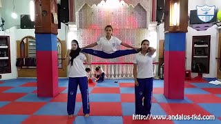 Martial Art  Taekwondo  Amazing Girls Kicks And Flexibility [upl. by Azar]