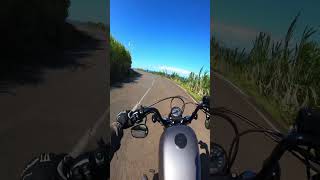 Harley Davidson FortyEight hiting road over the rainbow bike motorcycle harleydavidson motovlog [upl. by Aleydis278]