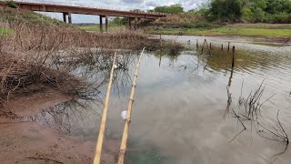 Rio quase seco pouca água mas muito peixe Pescaria Raiz Rio thomaizao Cardoso sp [upl. by Clite]