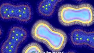 Animation of Antimicrobial Resistance [upl. by Lynd58]