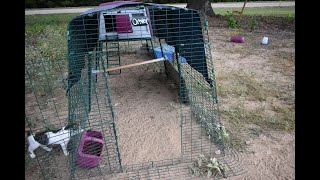 Eglu Omlet Chicken Coop and Run Review [upl. by Bamberger532]