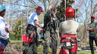 GAA 2019 Tree Climbing Championships [upl. by Eelarbed726]