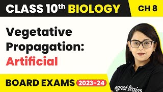 Class 10 Biology Chapter 8Vegetative Propagation ArtificialHow Do Organisms Reproduce [upl. by Wolfie]