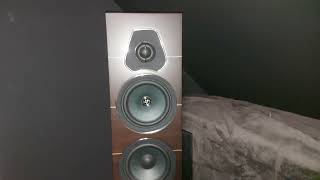 Sonus Faber Lumina III [upl. by Iliam]