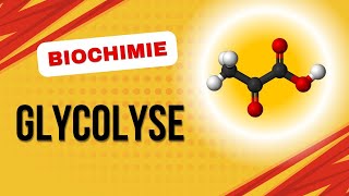 Biochimie  Glycolyse [upl. by Britteny]