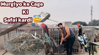 Murgiyon ke cage ki Safai kardi 💕 [upl. by Moyna]