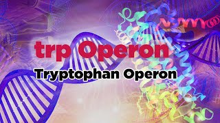 trp Operon  Tryptophan Operon [upl. by Ahsiam]