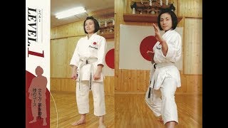 Basic Shotokan JKAVol1 [upl. by Pomona]