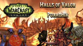 Poradnik Halls of Valor Mythic  World of Warcraft Dragonflight [upl. by Arvin198]