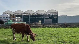 Une ferme flottante pour répondre au défi du changement climatique [upl. by Reitman876]