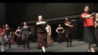 Flamenco Master classes 2008 [upl. by Lemyt473]