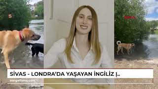 SİVAS  Londrada yaşayan İngiliz İsidoranın Kangal tutkusu [upl. by Esikram]