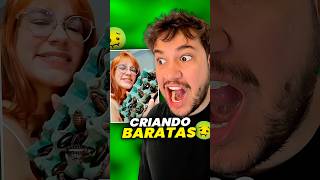 criando baratas livedobrino humor MundinhoBrino [upl. by Arnaud358]