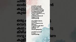 Kadalil kanmashi pole song lyrics song malayalamsonglyrics kadalil [upl. by Alessig]