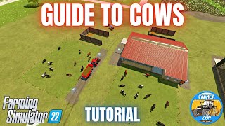 GUIDE TO COWS  Farming Simulator 22 [upl. by Nadnal]