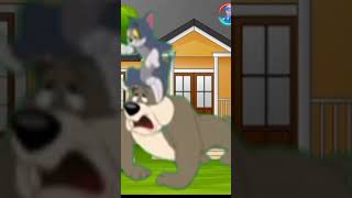 Tom 🐈🐈 and 🐀🐀Jerry ❤️❤️ funny cartoon video suvankar sot video [upl. by Mackie]