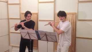 The best Flute Duo ever plays Flight of the Bumblebee [upl. by Gabe]