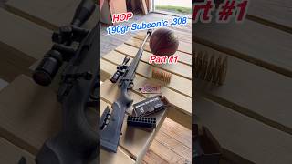 Subsonic Velocity 190gr 308 Speed Test HOPMunitions [upl. by Azne477]