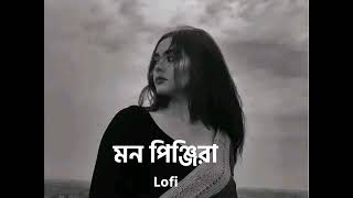 Mon Pinjira মন পিঞ্জিরা ।। Bengali lofi lofimusic lofiandreverb। [upl. by O'Conner754]