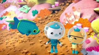 NEW  Octonauts  Damselfish  Full HD [upl. by Ordisy697]