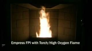 Pellet Stove Flame Characteristics Enviro Empress [upl. by Sirdna]