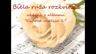 Biela ruža rozkvitala  slovenská zábavová hudba [upl. by Irual558]