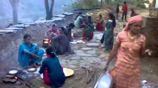 New Garhwali Song 2024 Lagda magsheer Ka Maina by DSPanwa [upl. by Walcoff]