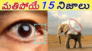 Intresting facts in telugufacts in teluguAmazing telugu facts [upl. by Rotceh151]