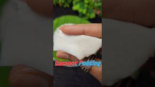 Coconut pudding coconut shortvideotrend [upl. by Oirram354]