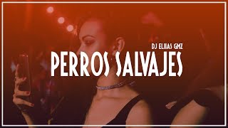 • Perros Salvajes  RemixDrop  Dj Eliias Gmz [upl. by Stover]