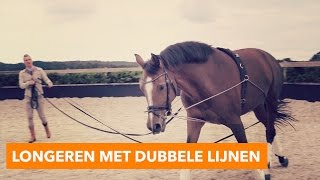 Longeren met dubbele lijnen  PaardenpraatTV [upl. by Eidolem]