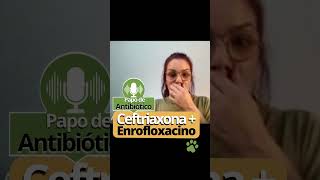 🐾🚨 Associação de Ceftriaxona  Enrofloxacina não é adequada para a maioria dos casos mas [upl. by Baudoin650]