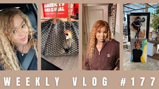 Weekly Vlog 177 Thugs Trial RHOA Drama Ponce City Market amp more  COCOMCQUEEN atlantavlog [upl. by Atteniuq]