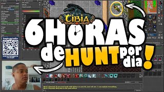 MINHA TERCEIRA RENDA  TIBIA MMO RPG [upl. by Mabelle]