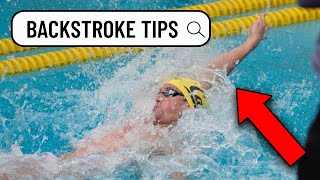 How to master Backstroke Swimming  Tips amp Drills from an NCAA Champion [upl. by Asyral422]