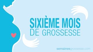 Sixième mois de grossesse  La grossesse mois par mois [upl. by Ihpen]