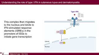 Understanding Type I IFN in Cutaneous Lupus amp Dermatomyositis Toward Better Therapeutics [upl. by Peckham635]