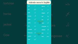 Animals name in EnglishAngrezi me janwaron ke nam [upl. by Cottrell443]