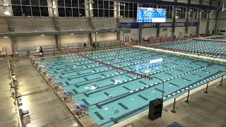 Lynchburg Hornets vs Roanoke Maroons Swimming [upl. by Ingham]