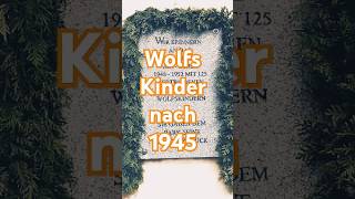 Deutsche Wolfskinder – Verloren nach dem Krieg historyfacts geschichte erklärvideo shorts ww2 [upl. by Joellen342]