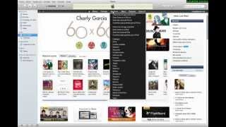 Para que sirve iTunes y como usarlo 2013 [upl. by Lecroy527]