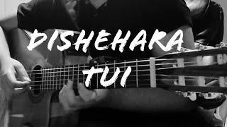 Dishehara Tui  দিশেহারা তুই  Guitar Cover  Instrumental  Fingerstyle Bangla Song [upl. by Eetnahc20]