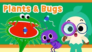 MONSTER PLANTS  bug songs  Fun SCIENCE for kids  15Minute Learning with Baby Shark [upl. by Macmullin239]