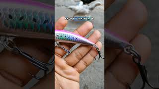 Minnow sinking killer shorts minnowkiller minnow [upl. by Gignac]